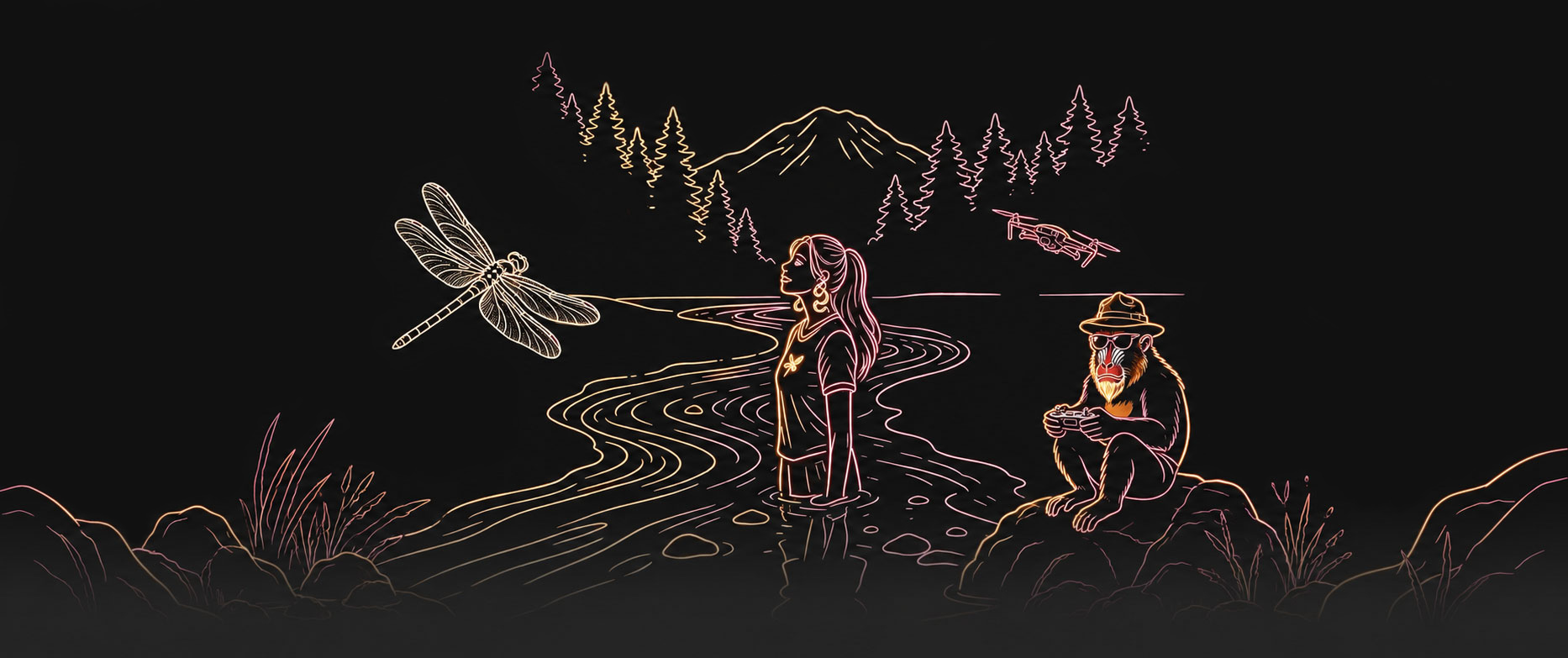 Dragonfly