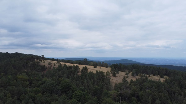 Planina Maljen okruzena borovom šumom.