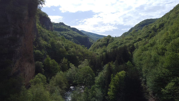 Šumoviti kanjon Rzava sa visokim stenama.