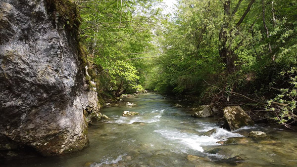 Prirodna pećina i tok reke Rzav u stenovitom kanjonu.