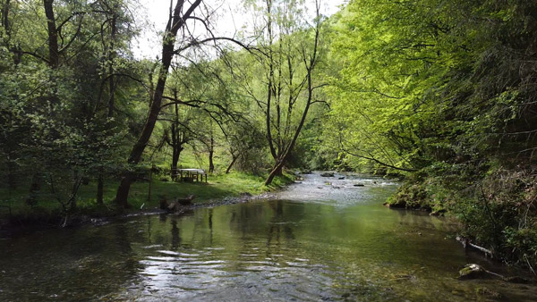 Reka Rzav, jedna od najčistijih reka u Srbiji.