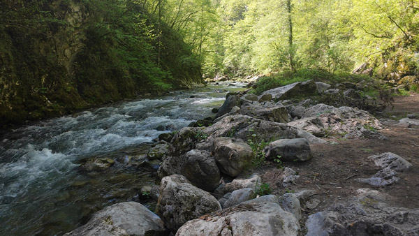 Pogled na Visočku banju i reku Rzav u netaknutoj prirodi Srbije.