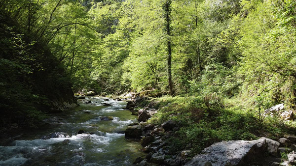 Visočka banja – prirodni termalni izvor u zapadnoj Srbiji.