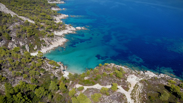 Skrivena uvala na Sitoniji sa tirkiznim morem, stenama i borovom šumom.