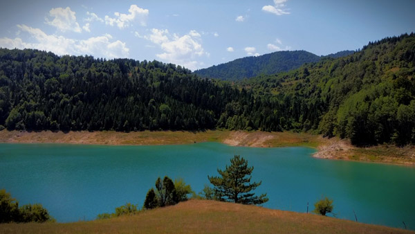 Shore of Zaovine Lake on Tara surrounded by dense forest